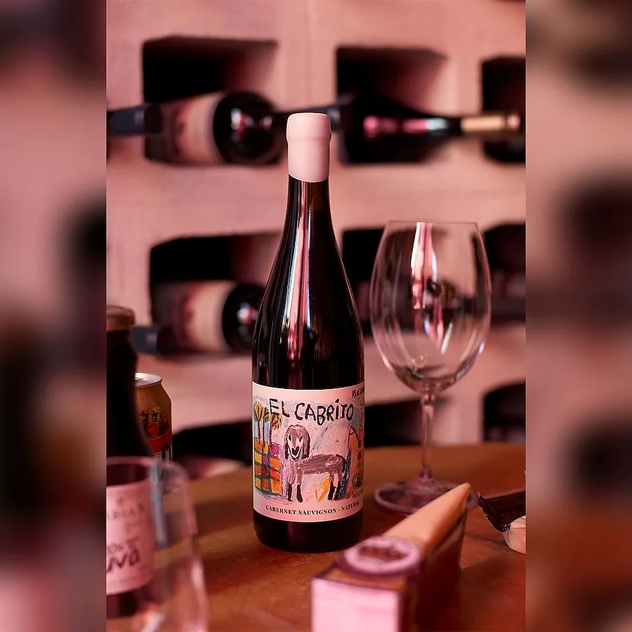 Vinho Tinto Orgânico Natural Santa Julia El Cabrito